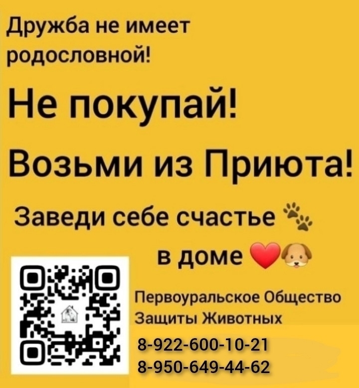 CHfOra5SiM2rpkYdkK7wQFpNY9nZb_EGgwtADmTZ