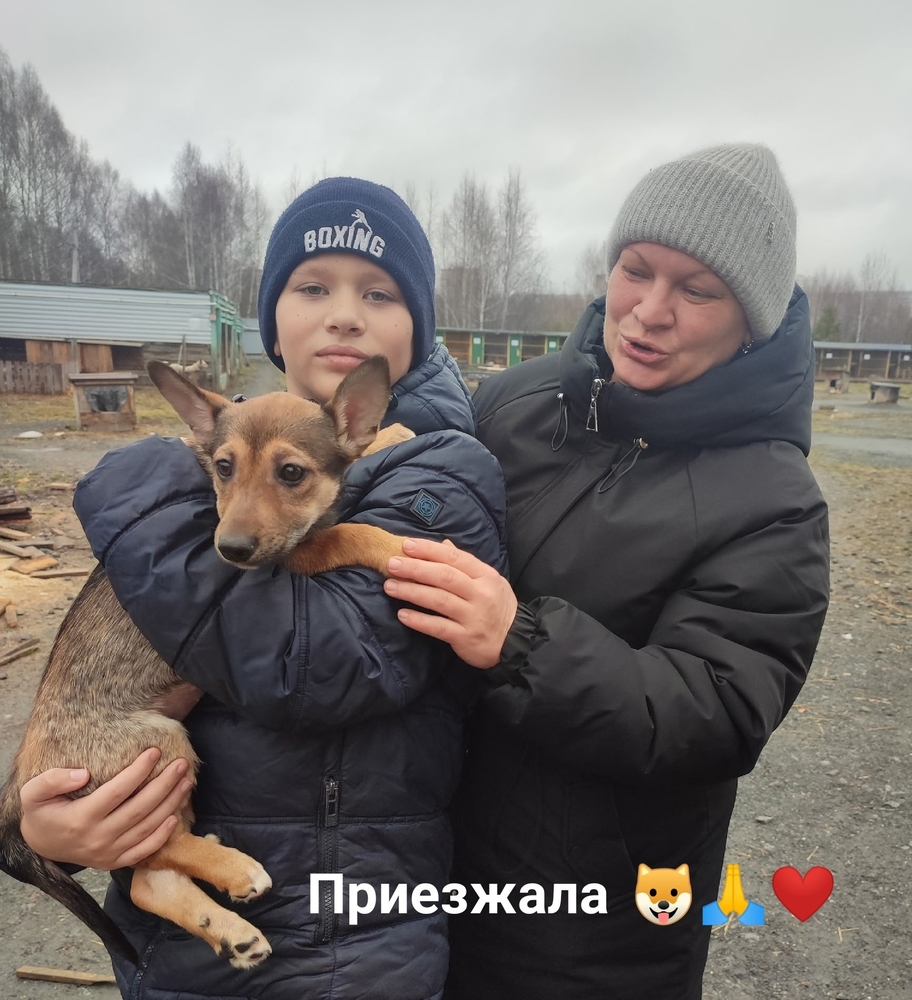 j6FcLmy7DxVvftatk2-slpexM-qTDbb5VSwzABug