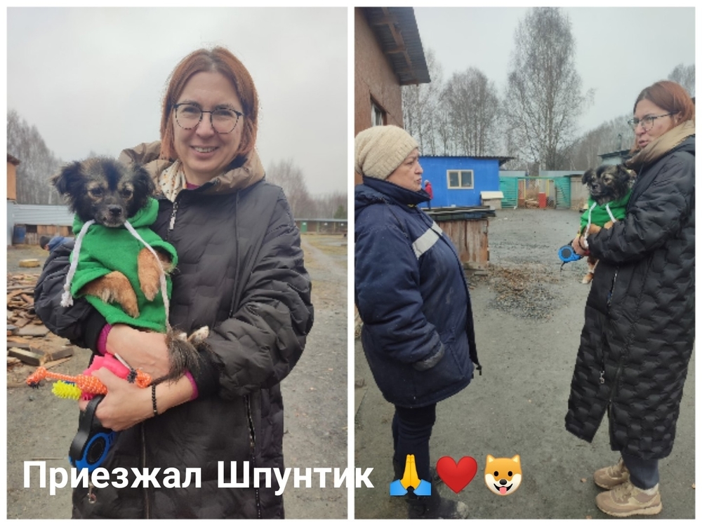 upahRjrzBx-XmzUDQ9k4ziF6KCUuqafruCNEnJJC