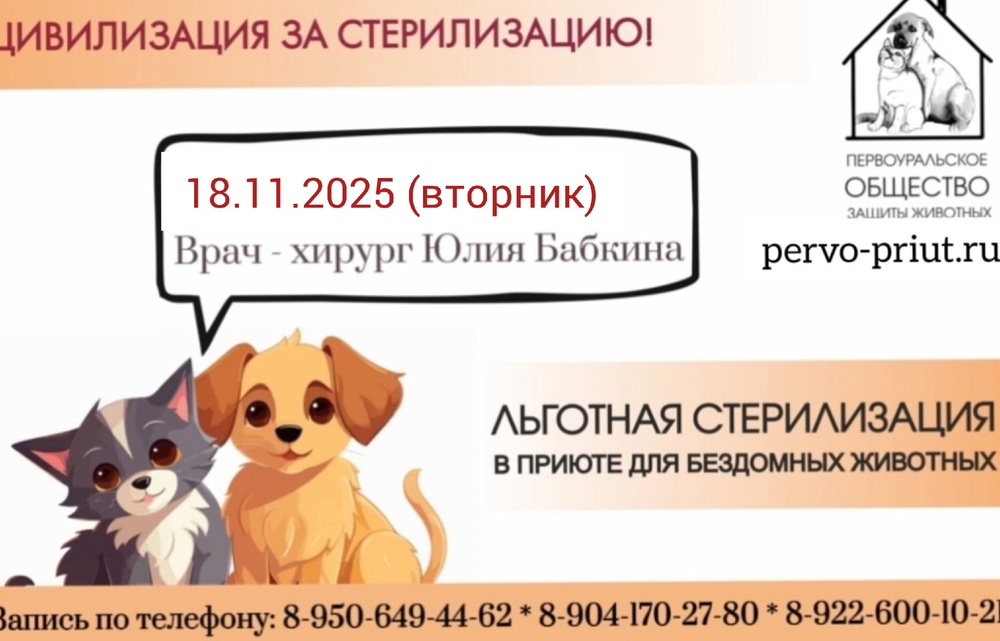 ecGvlWVvFs031GpHMlT7waWIcchpjOXuWk6BUohs