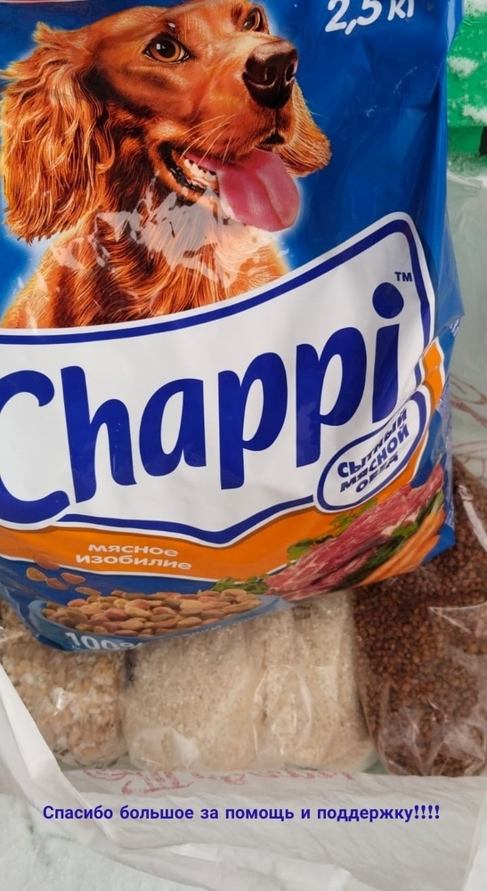 38E66bq81Wh3kKQWltxzGO4XXuKZX5FjQ_c-fksQ