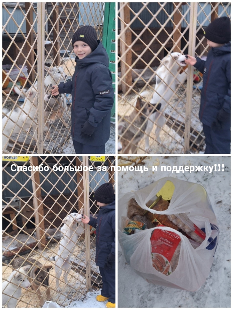 k6zzfHhEgiSlFxcGit-3CH8VhJd3kPp6oXeSxyrZ