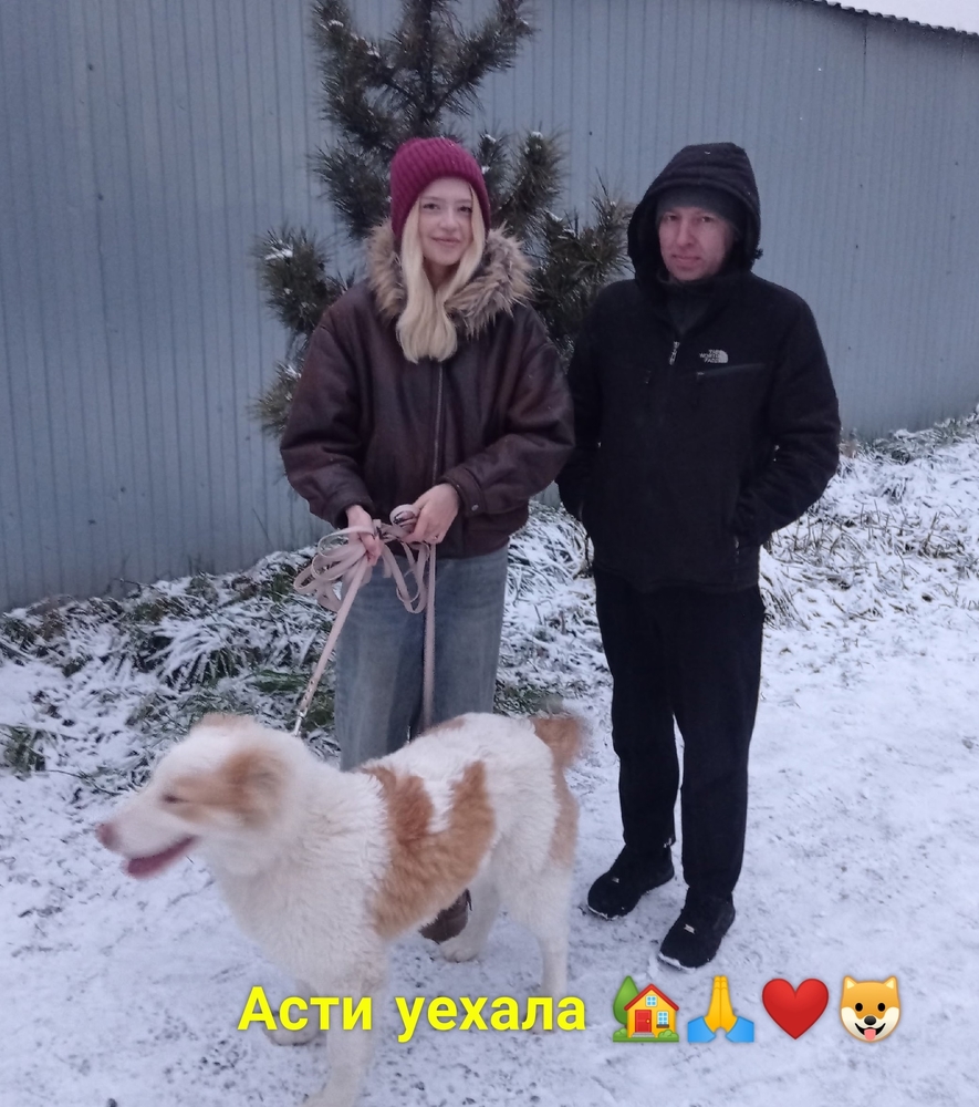 UYSkzRRrCzj3G4AieFPOn7uH9xK9jiA-OwULeTZ2