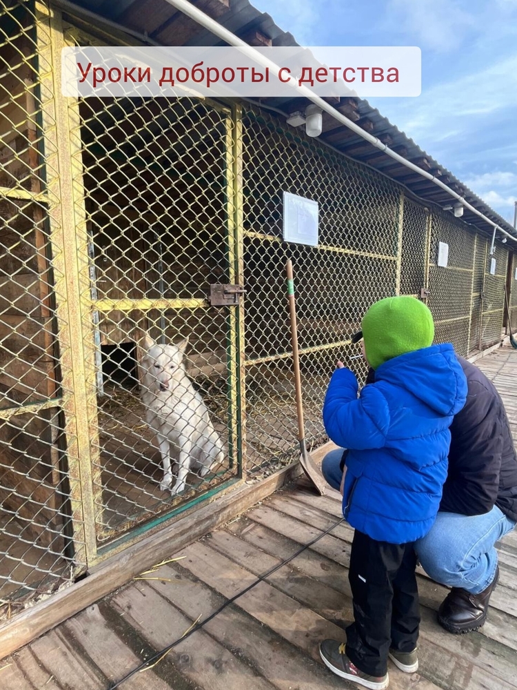 b9J2TrpDyPkU9GOnKOVu74yeTDA-y4pWGlIk6-DN