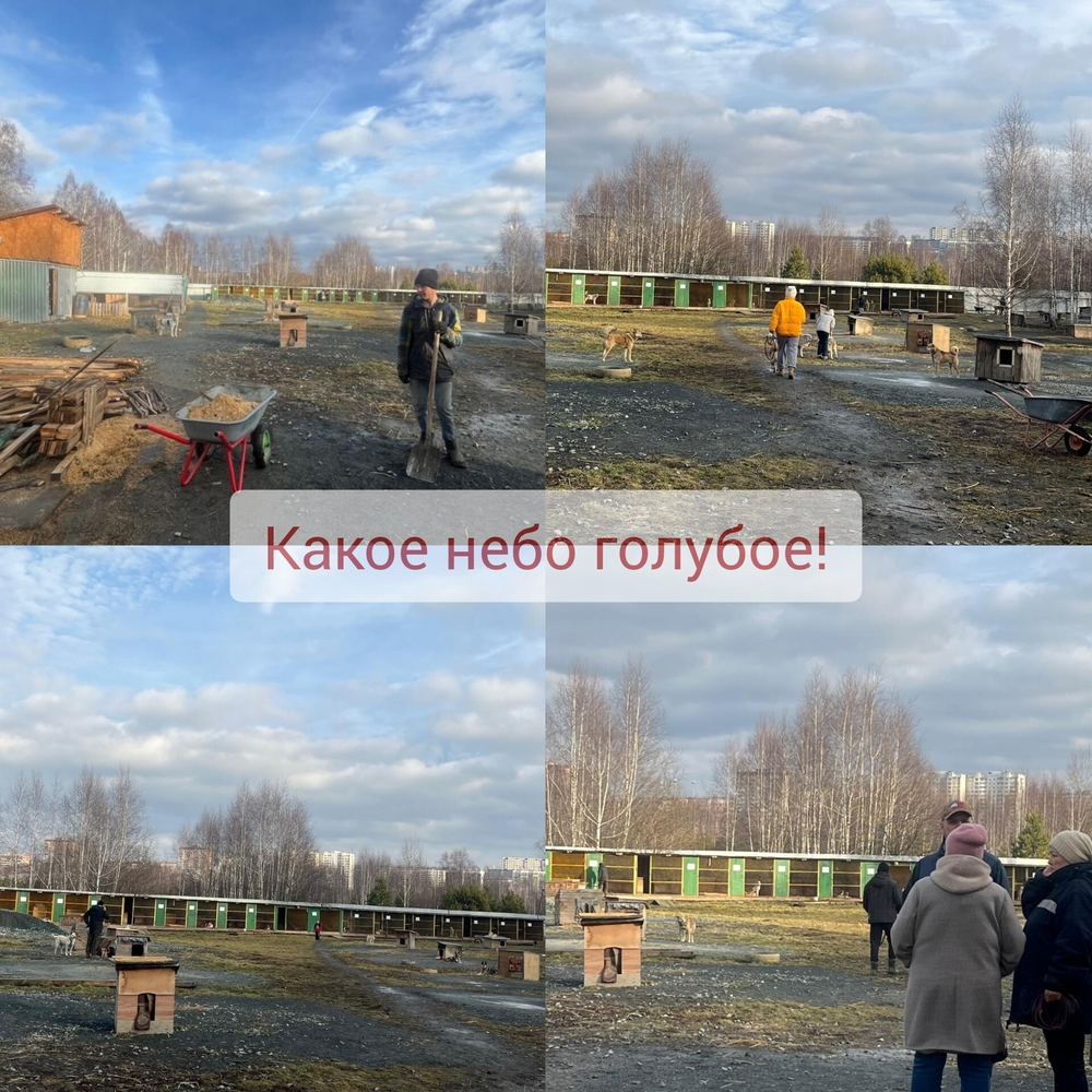 nwsSSfN_h5SzCu5dZ-rAXMRetXhaLmTGmYYJc4DC