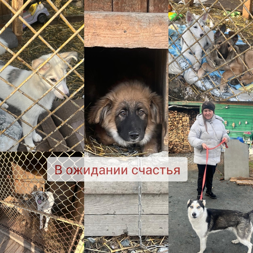 T1YpqVLeUcYnrVyEGg784QLp1fyEKAGhmzuU0OdA