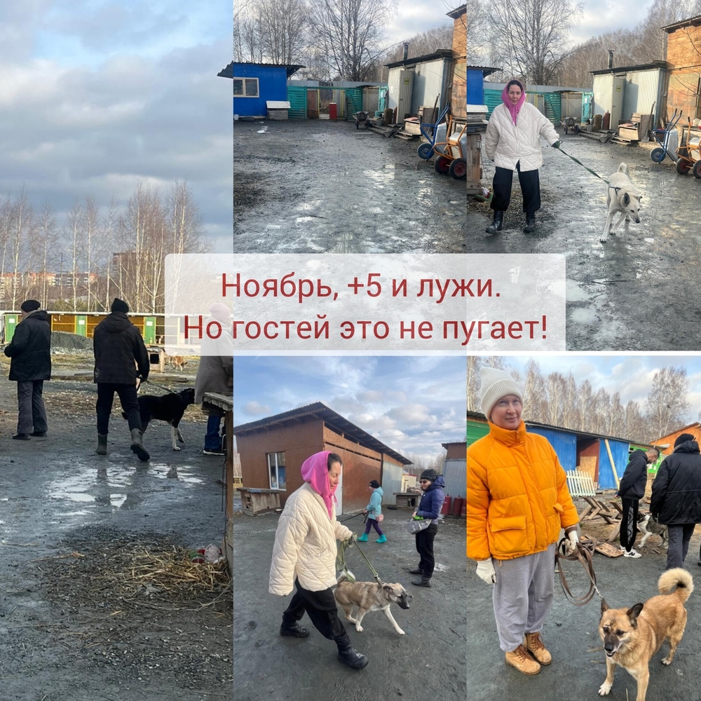 u5WYiY90PaPSCW3wIFRIcO7Wxg2rlB_3zmwr_KJl