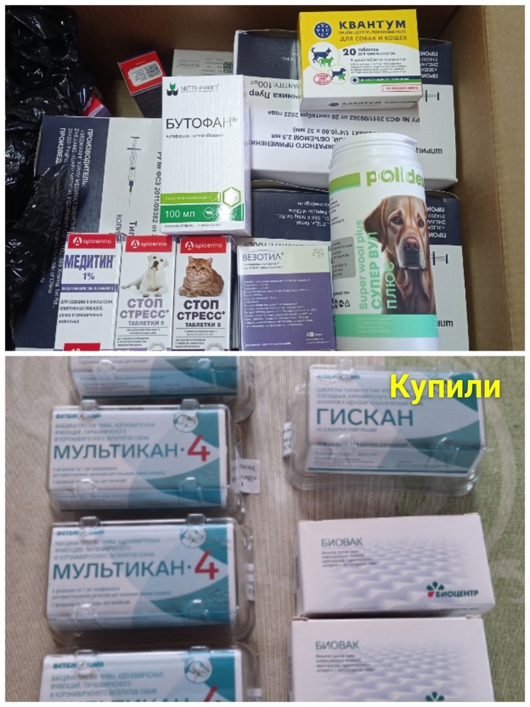 04bRNujLtkCkRNcIilnyfzAR1Sb1mCHB-gCiIQoy