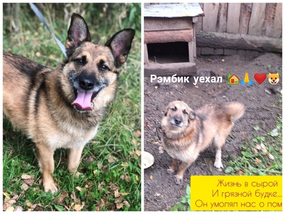 7US8ubXw52alVPLs4rAIEGC-XdKnxGBqF2yX60QJ