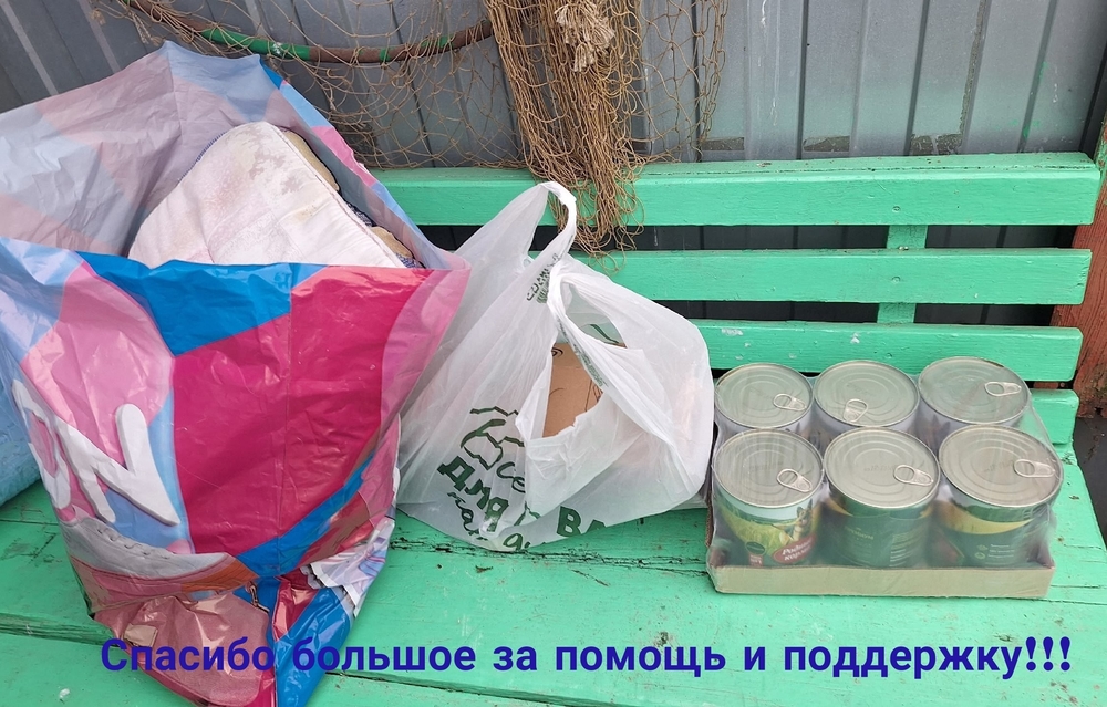 c3Nr-1hULld_QTgrk8JY6l7ssxOR8SJ44LH8SVEd