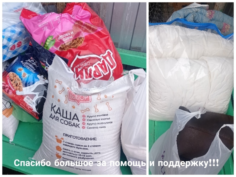 dOogoIIg7cq-ojs_A0WXLaOaNdaxFDFAJa4HpO0s