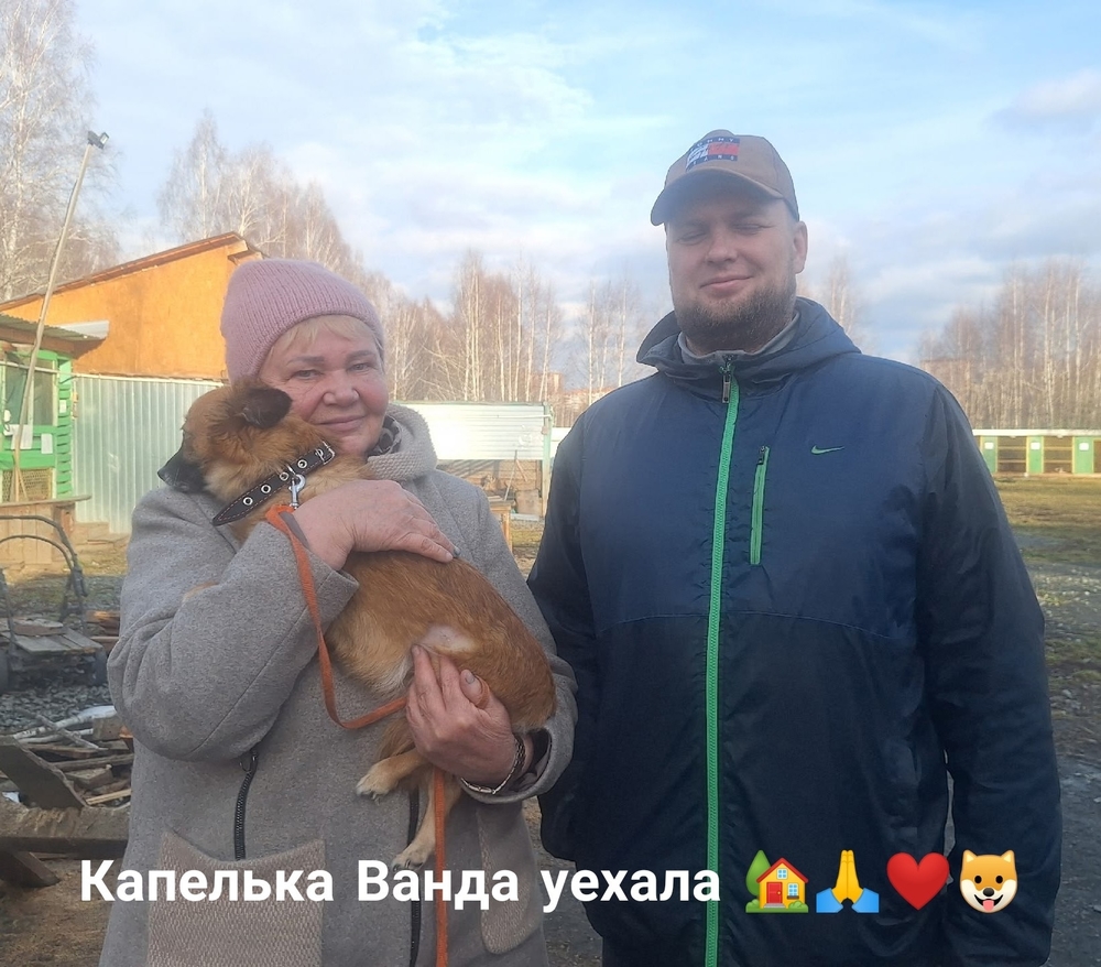 O2WKKkWEsrld414Hg2qwJEfpF9QJa1jSUm6fyL8e