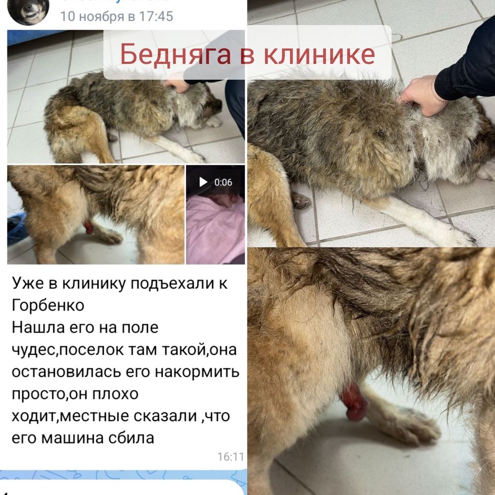 YXnnQBWCUZ-2zJRNHtkR0TnkCxtyyTezG3XktrWz