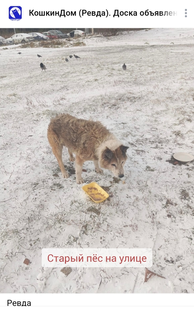 zcWNkRvqJ-13tEB4PKfnROr5ouxDgVykE_lBvEyN