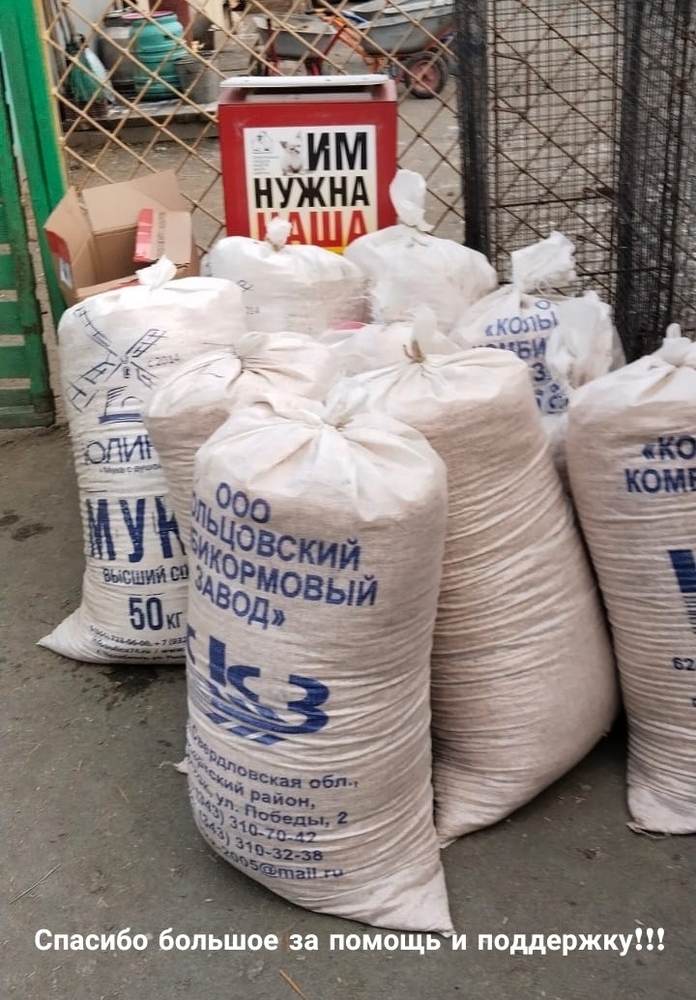 5TvgDfUKaUQkP4aZx6bvkut9uyZsJ10rJkSggXub