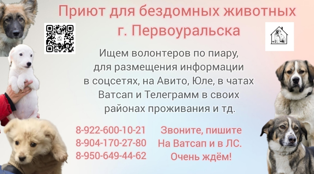 he9CWFIe3e3wEJ66wuqMBr2EYoKnDwJQ8sEgaJL1