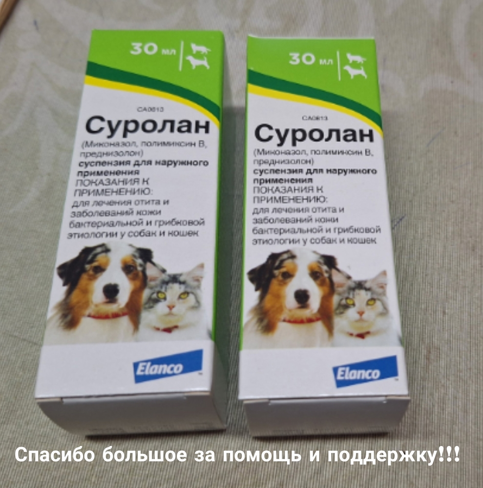 ddoi1gM9YvEgJxkcADpi9bTdDsMLKrklVIcDaPl2