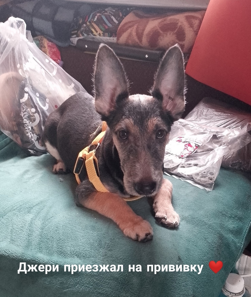 d-N7_6COnSGsd6uz1tl0JGpQ5CA_x1yHy4A_nEQi