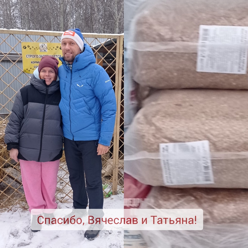 ewn3PDmRajdE2xDdDdgLk3iAO1lu9qhGVPzB81vk