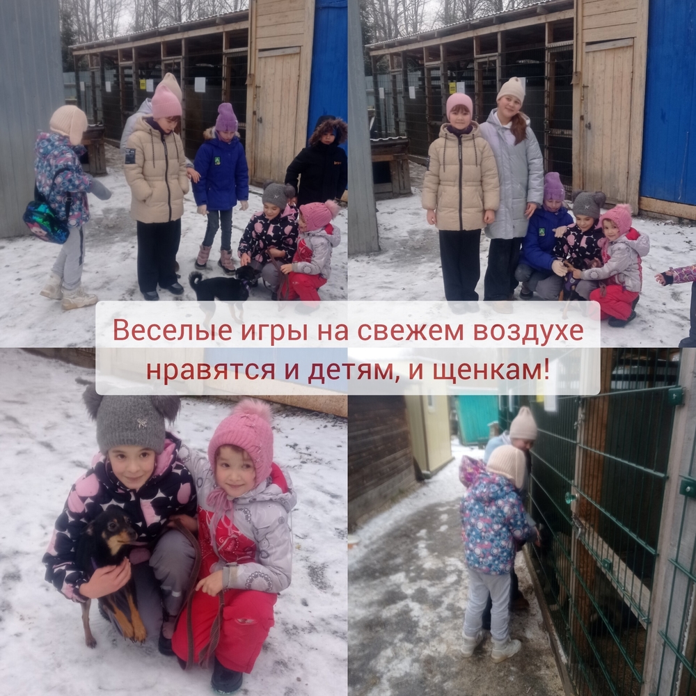 kZ1cZK-kvXVjSWapg909Mp271sWH9u-rU0Qup7kr