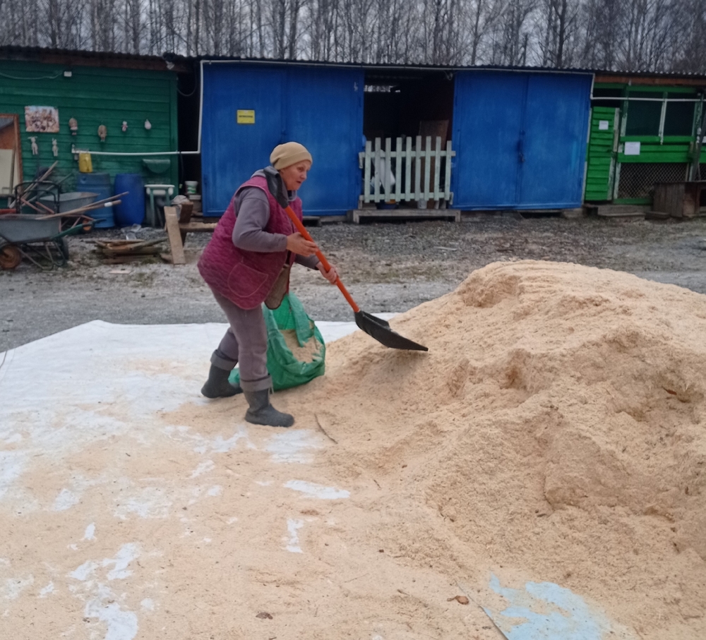 2ASB7lDvGbP5-E3dACl8BwaNQs0TKusC2VLZI1eo