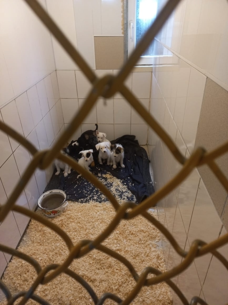 2z1Xsa6mm_qa_4zKxXPO6UOeq7nB06cevZSDy5y4