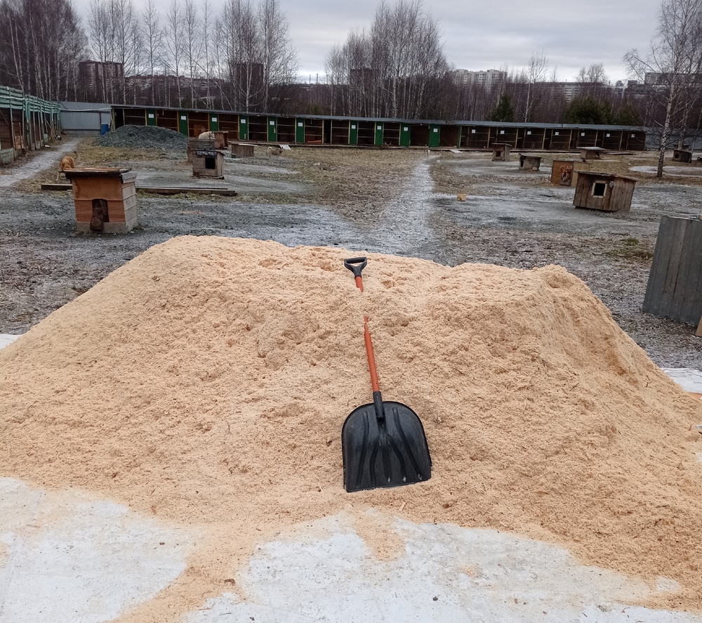 iO6aazTy-RayGPipA6x1cdsp0fZC798TdiZbgN9y