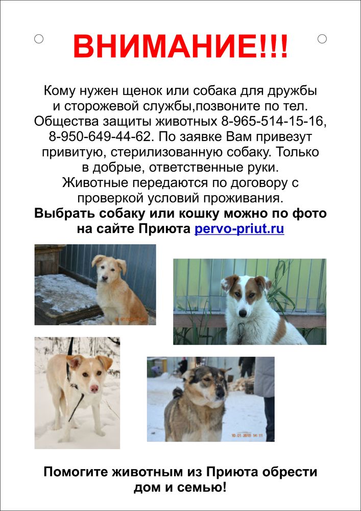 -пристройство-тумаков