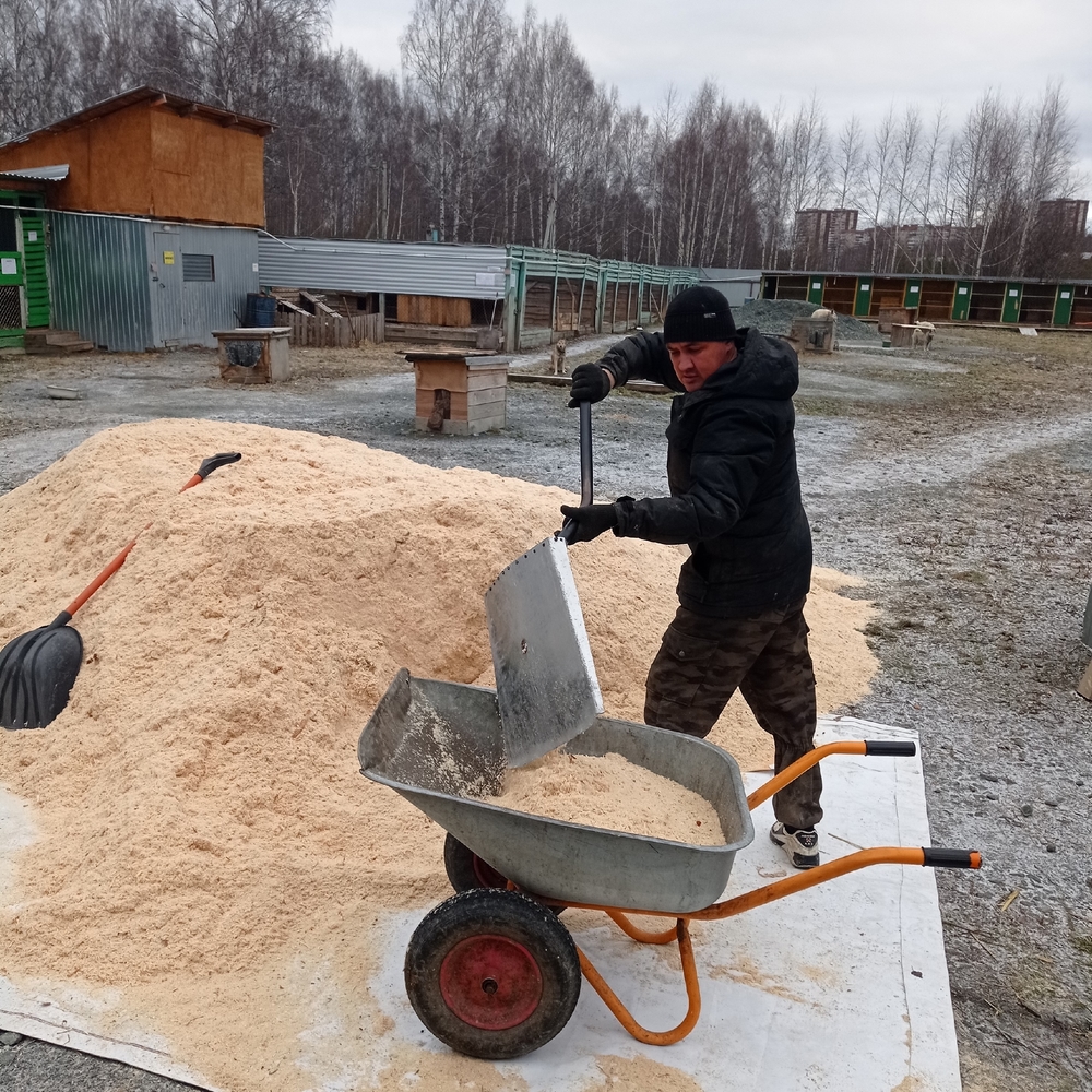 vCEILOG7c3re9QPk96-aINAnPSCLlnpHVtX1dZ1T