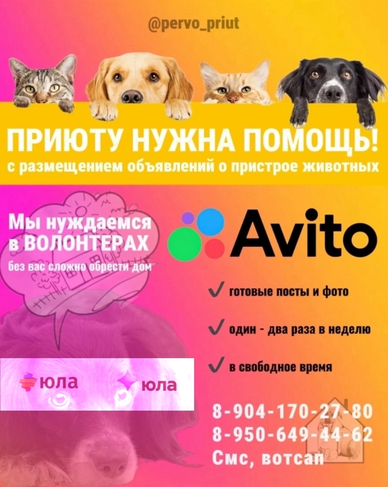 pg5XykpvpwYV79b2UpOeww0oSF1jJ8zb-bXfJCH4