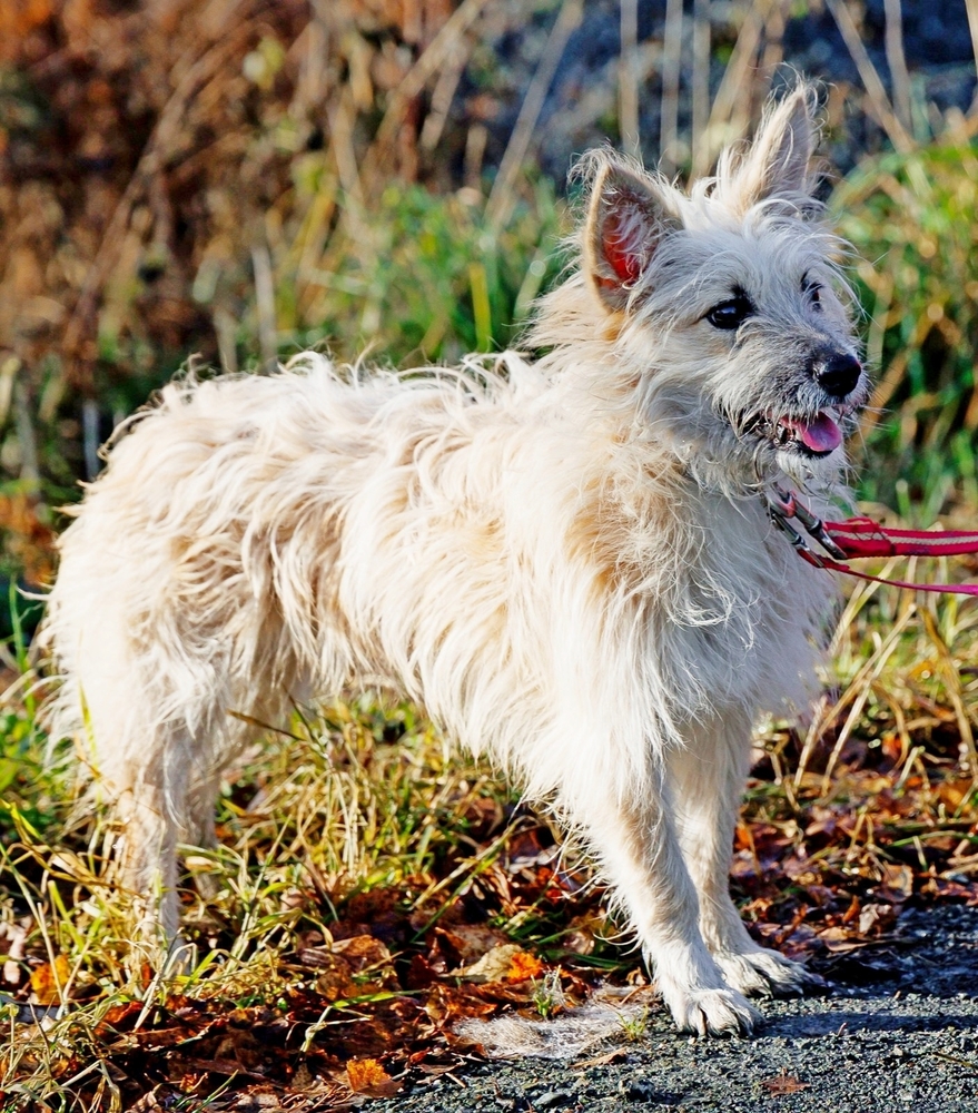 Aj8b7mxwbXM3o4adGA_LnkBh4itinI_f6yvf6P9Z