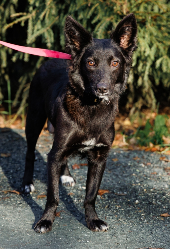 NkSVmE5PJsd5PNBmJVe_ypvd7S96ih7M1bDcCbhq