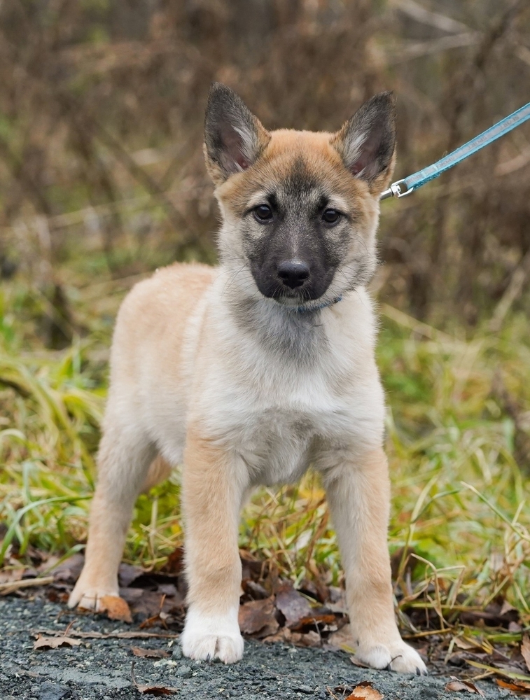 sWB6W9-6aur1KkyssoEhhV_HcCha51-l5kLHqqxP