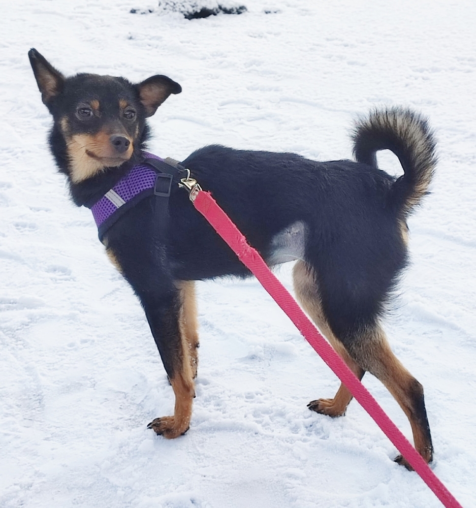 zzlf2vAcfj5XmFdMQ5Sdc0SZ4LYN0wgzJFKu_aLY