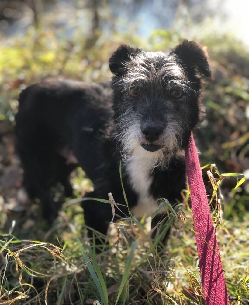 ZZR7d6sjro4ss4ztTZL3_GGIBVYfx3zVPFuDV3Ga