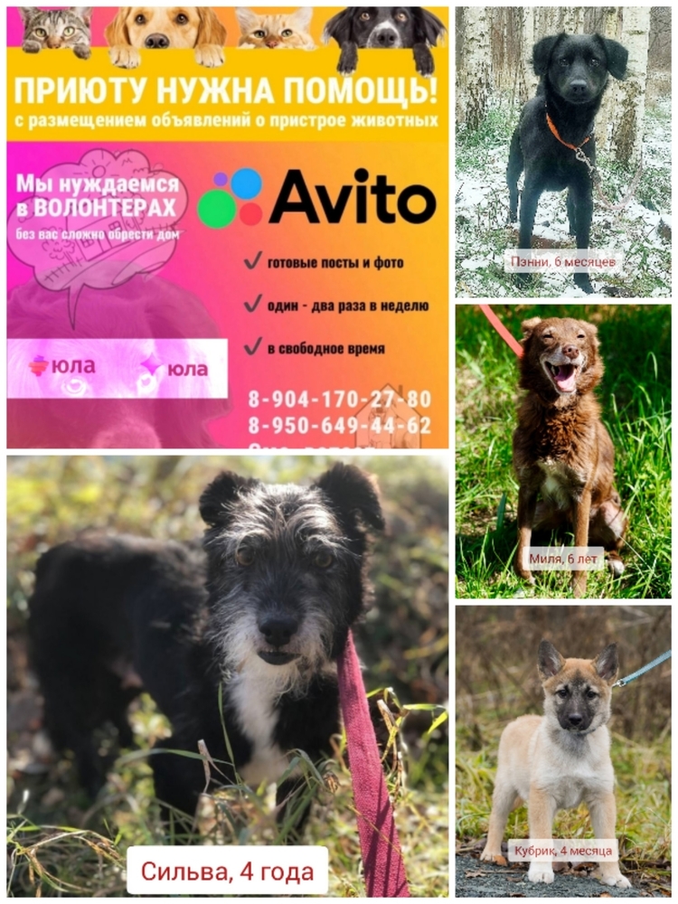 hpvGHHQRDEB1gwkvRmSW2PwkeDY20O8SrQYIwXbE