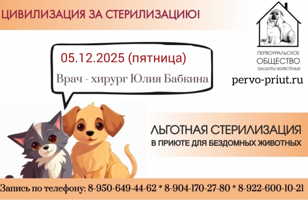 wI88IpX2BfN4J0JD4QVImBd8uMO8b7XXHks48C2g