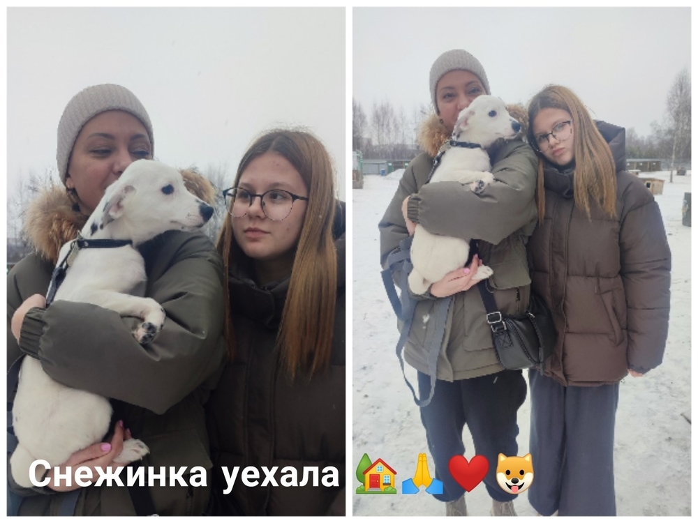 2eKIWlKaplRT3N3BB5cd4Ldefbgpp1QoJGRCo706