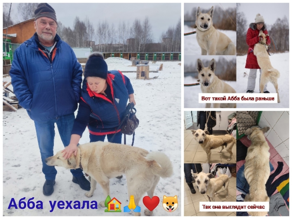 ADk1a7_iXQk_UcSt0y48mU8Pn9kTM_yUKz_F8gr0