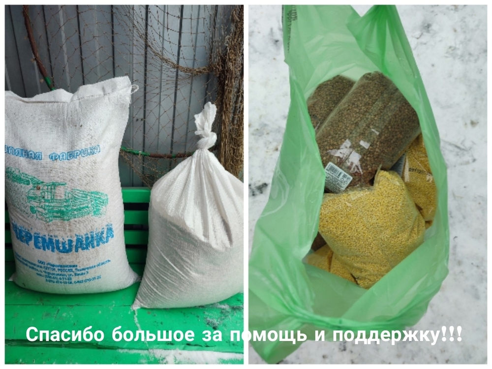 uavoIdg9GyLs3EYUDCoXjVABNq1mBqa0AJMvLLR2