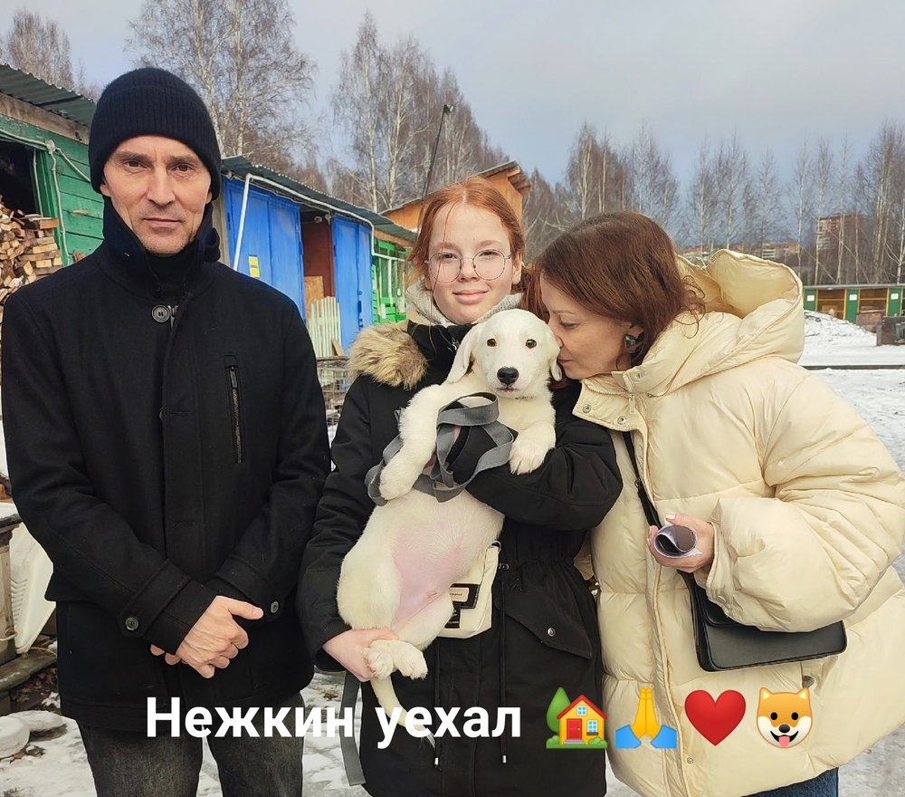 4_QvGY2t1mebvDT97k-rwnN781HkwaO2hFq3vRmI