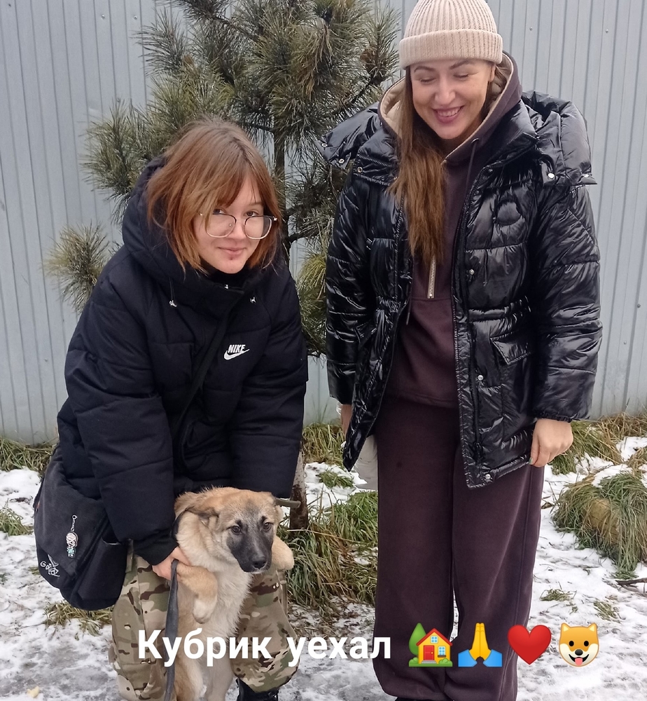 Qwi0gKZWaE5QT3PvrkmJMCxofuJ7mEvG4Hzpk-Ay