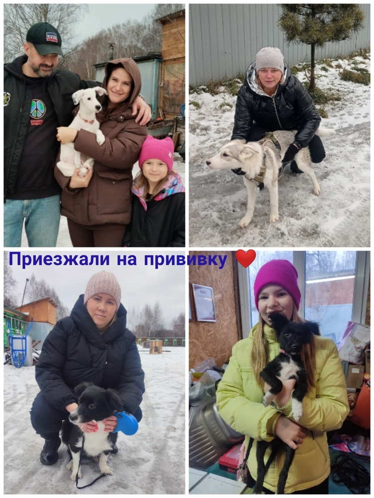 SVoTyp29AfgKHBYF41dhT_tyTQAPrvfD8-EFX46E