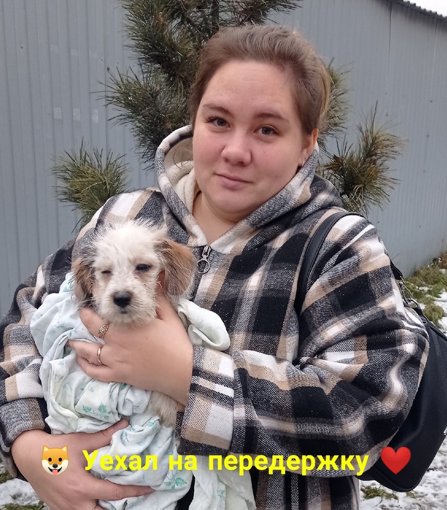 ZfQ57LvVuvVfPflHu5G94tnuQl0xznd3gX9n3cvQ