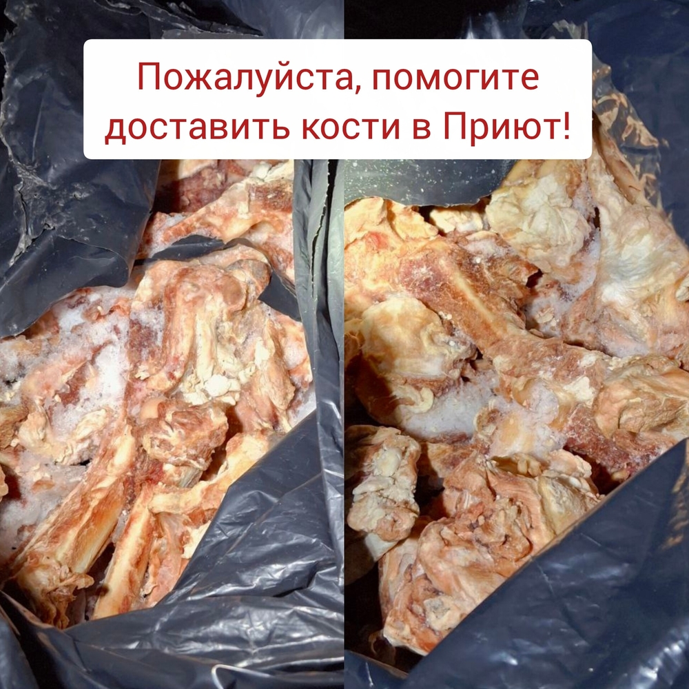 ZfxdmhFi7rhFyWaPM9qa8H0bmMZB9IoKMi_Sb7zu