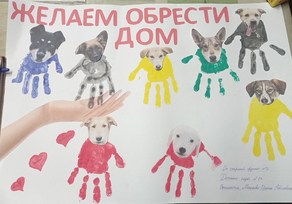 oG8yBr6v5v3Sl8tcP5KjDyUfLb0Zl08dyPMiypxv