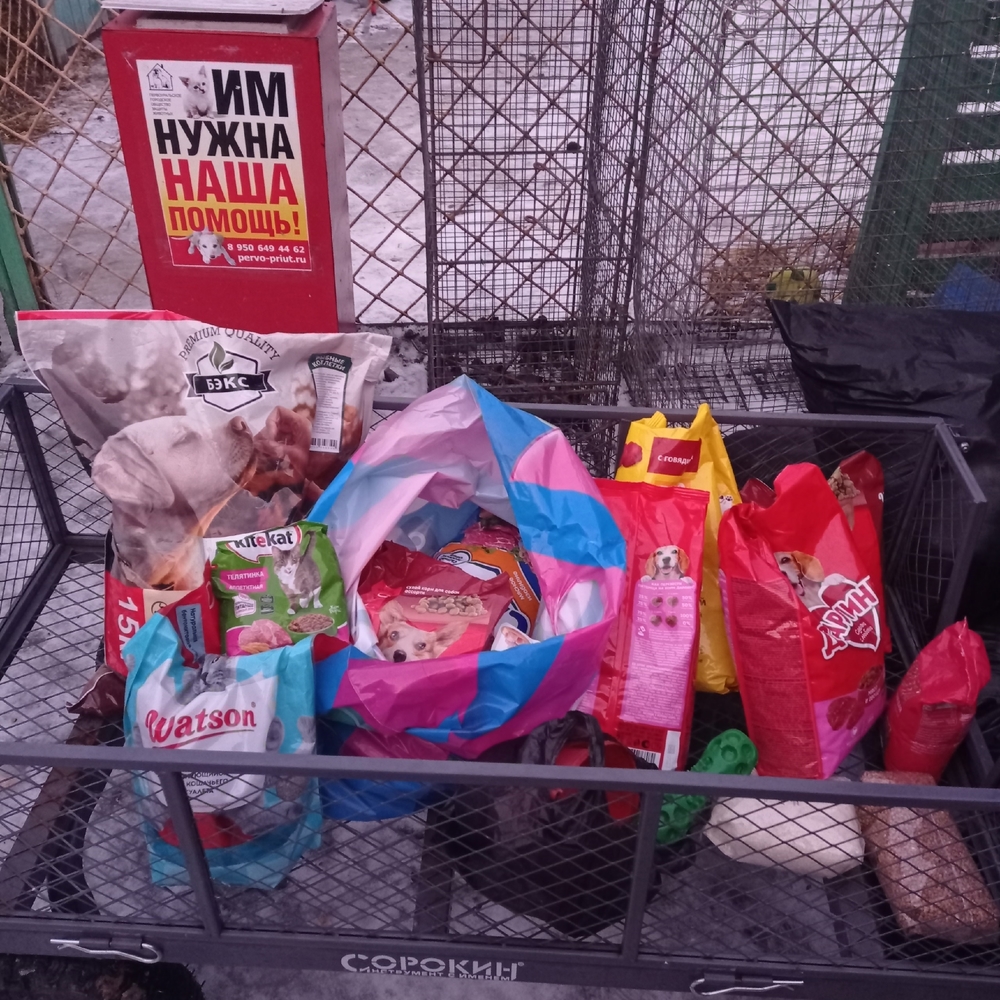 Puhy9XhCElCsTEuLurljZSxQUltlvNEnyxyhOJr9