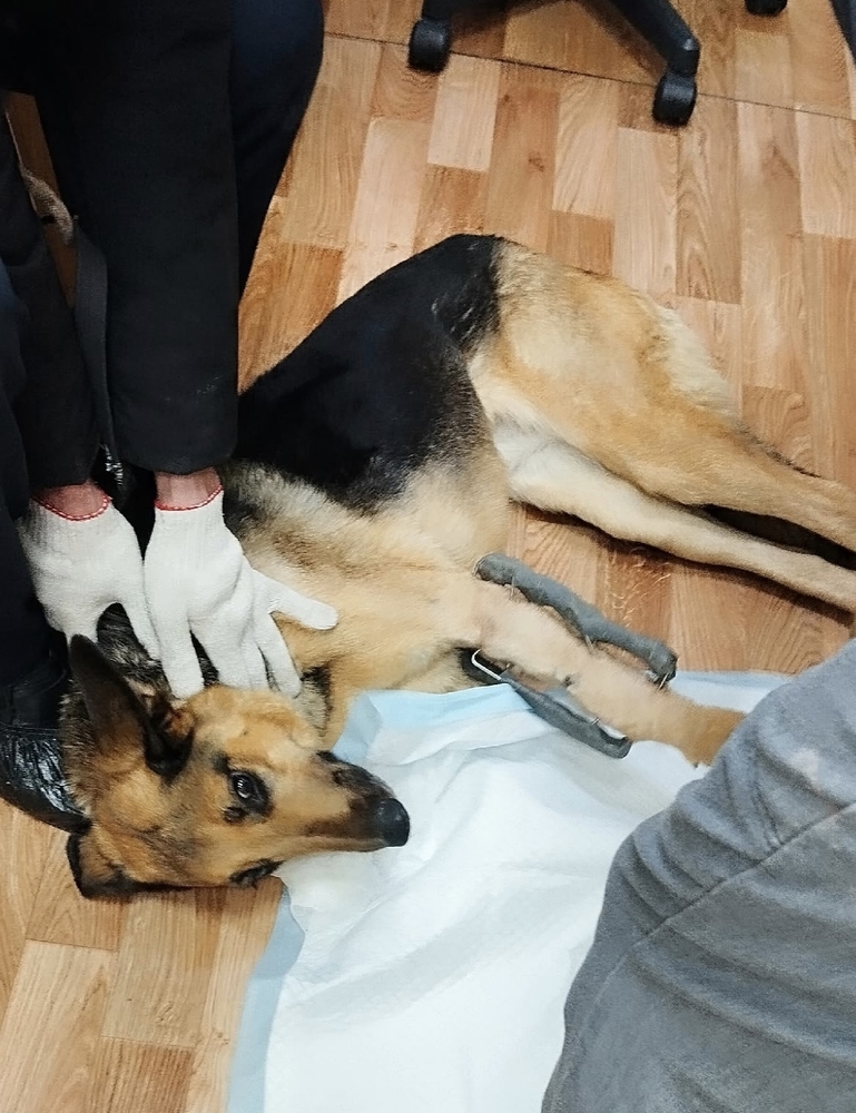 2ywN3C5emK6kchXpHBGASHueZIwDJ7UXNMLKHWG-