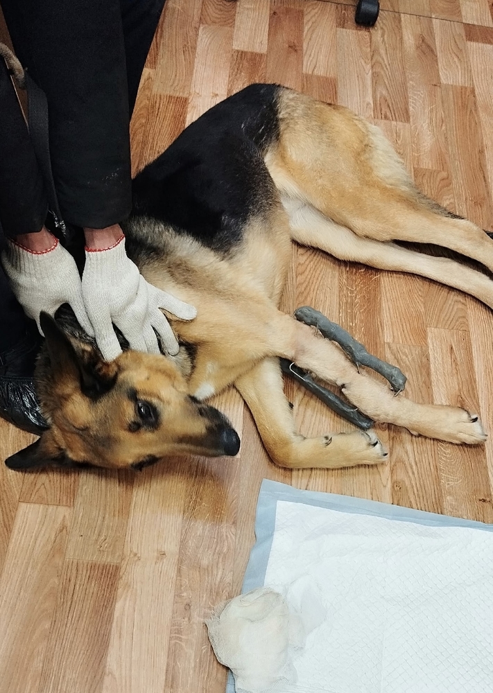 ewG5ChHuoKu-Ljbsno74avrBkNsvFKV9OQKau-cd