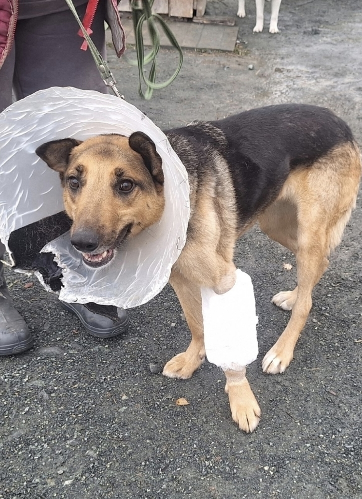 vR6v3ry5CkeHg3rRegGiRm_K08I8L-N85FgNeU8j